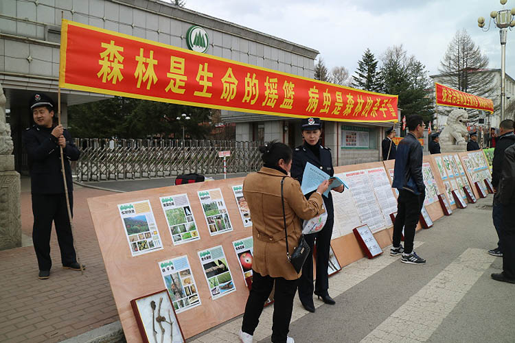 日,露水河林业局森林病虫防治检疫站开展的"林业有害生物防治宣传月"